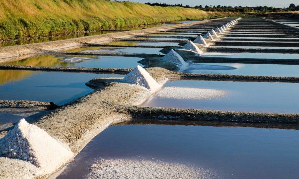marais salants